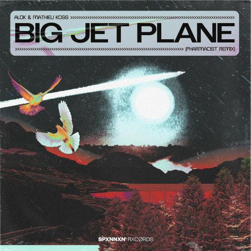 Alok feat. Mathieu Koss - Big Jet Plane (Pharmacist Remix)