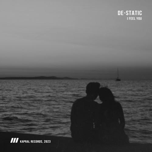DE-STATIC - I Feel You