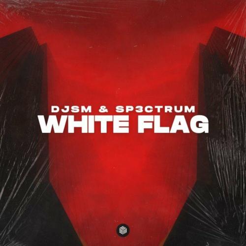 DJSM & Sp3ctrum - White Flag