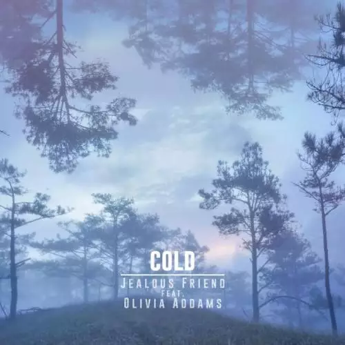 Jealous Friend feat. Olivia Addams - Cold