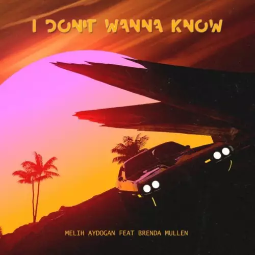 Melih Aydogan feat. Brenda Mullen - I Don’t Wanna Know