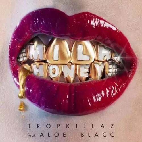 Tropkillaz feat. Aloe Blacc - Milk & Honey