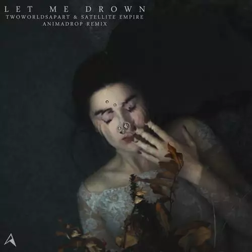 TwoWorldsApart & Satellite Empire - Let Me Drown (Animadrop Remix)