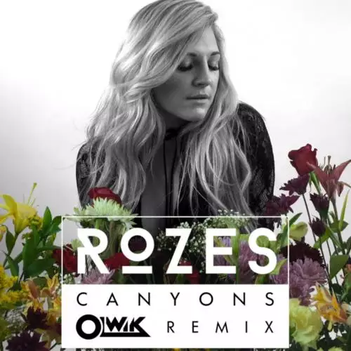 ROZES - Canyons (OLWIK Remix)