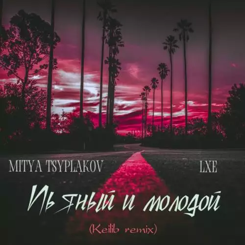 Mitya Tsyplakov feat. LXE - Пьяный молодой (Keilib Remix)