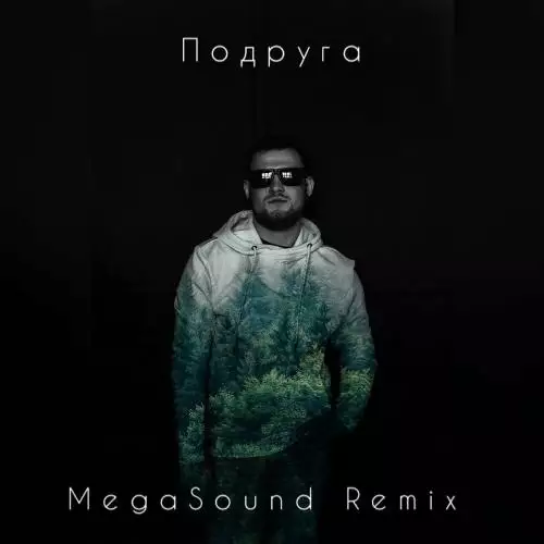 NIK DUBINSKIY - Подруга (Megasound Remix)