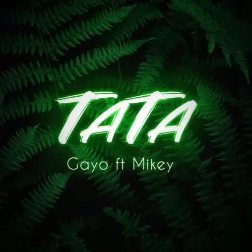 Gayo feat. Mikey - Тата