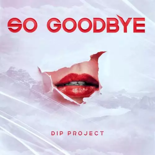 DIP Project - So Goodbye