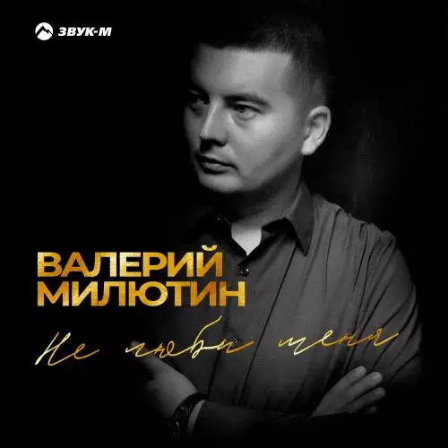 Валерий Милютин - Не Люби Меня