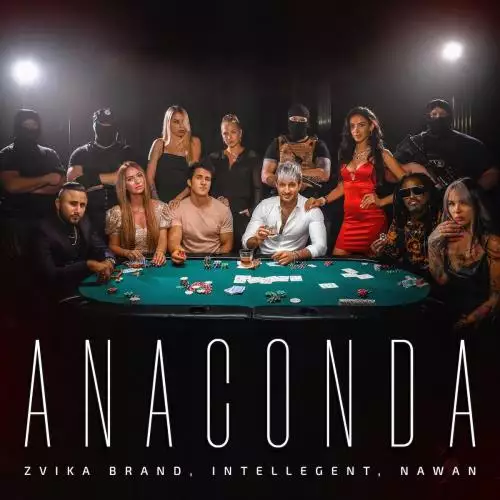 Zvika Brand feat. INtellegent & NAWAN - Anaconda