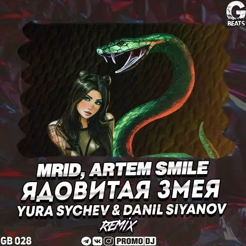 MriD, Artem Smile - Ядовитая змея (Robert Cristian Remix)