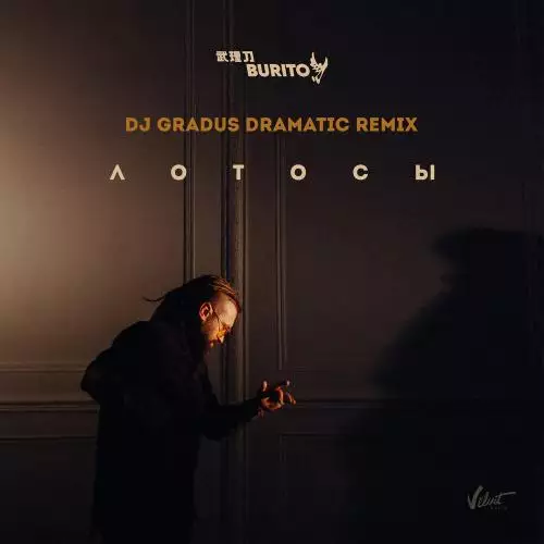 Burito - Лотосы (DJ Gradus Dramatic Remix)