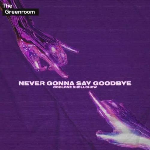 Coolone Shellchew - Never Gonna Say Goodbye