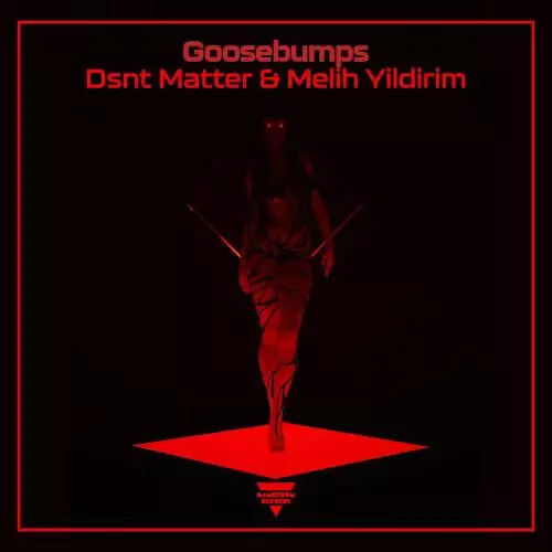 Dsnt Matter & Melih Yildirim - Goosebumps