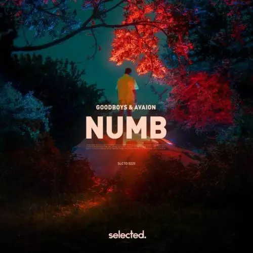Goodboys feat. AVAION - Numb
