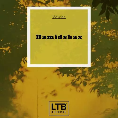 Hamidshax - Voices