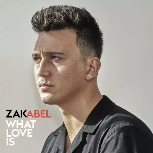 Zak Abel - What Love Is