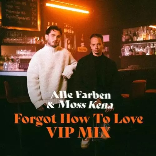 Alle Farben feat. Moss Kena - Forgot How To Love (VIP Mix)