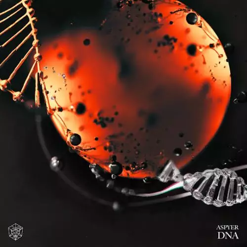 Aspyer - DNA