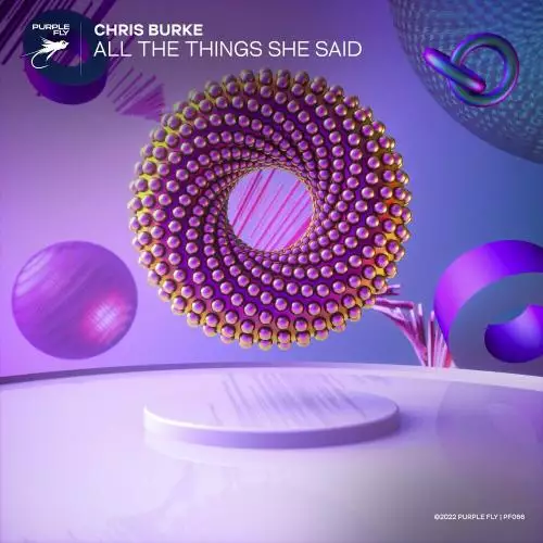 Chris Burke - All The Things She Said