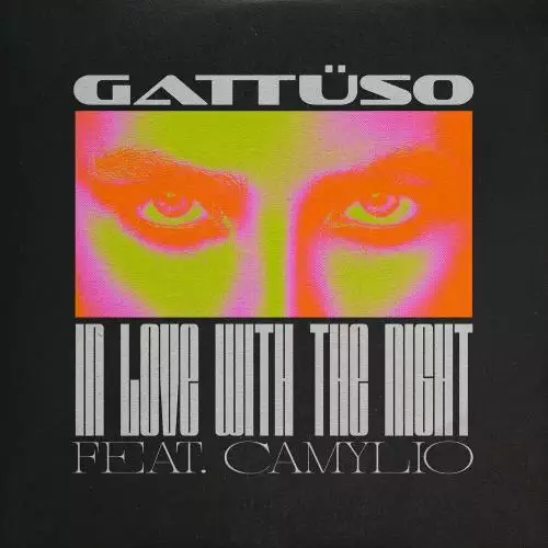 Gattüso & Camylio - In Love With The Night