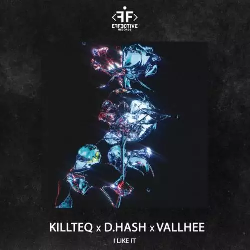 Killteq & D.Hash feat. Vallhee - I Like It