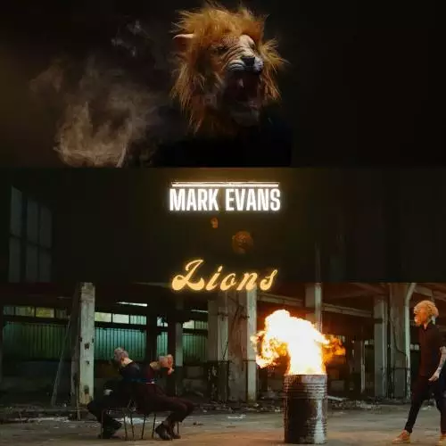 Mark Evans - Lions