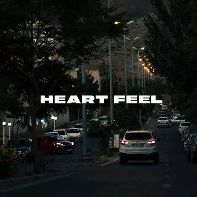 PVSHV - Heart Feel