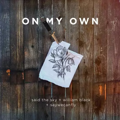 Said The Sky, William Black & Saywecanfly - On My Own