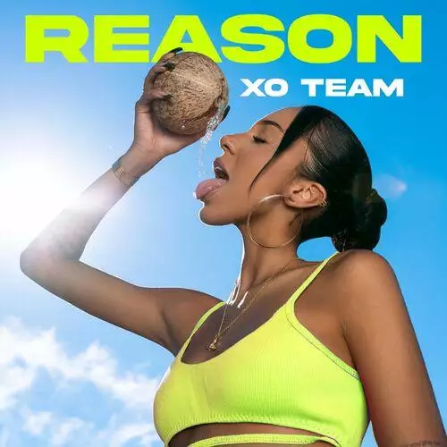 XO TEAM - Reason