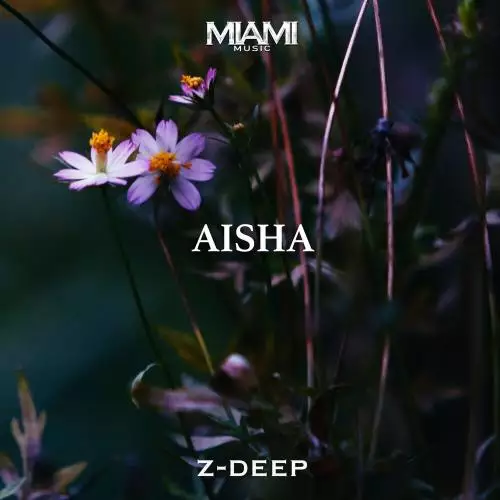 Z-DEEP - Aisha