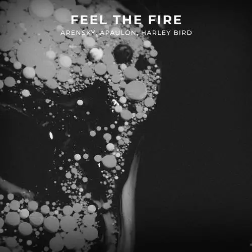 Arensky, APAULON & Harley Bird - Feel The Fire