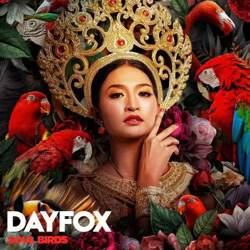 DayFox - Soul Birds