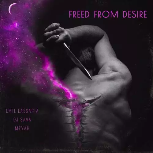 Emil Lassaria, DJ Sava & Meyah - freed from desire