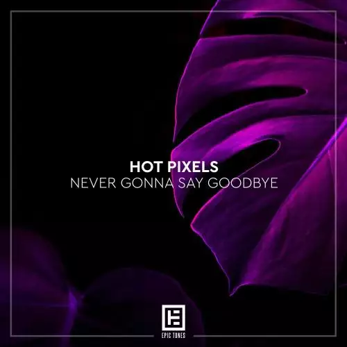 Hot Pixels - Never Gonna Say Goodbye