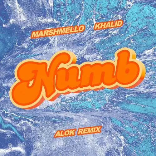 Marshmello, Khalid & Alok - Numb (Alok Remix)