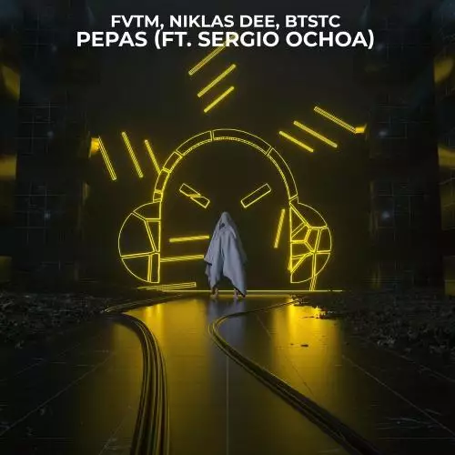 Niklas Dee, FVTM & BTSTC feat. Sergio Ochoa - Pepas
