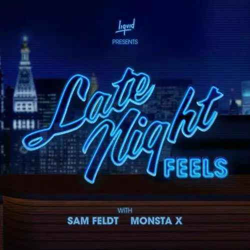 Sam Feldt feat. Monsta X - Late Night Feels