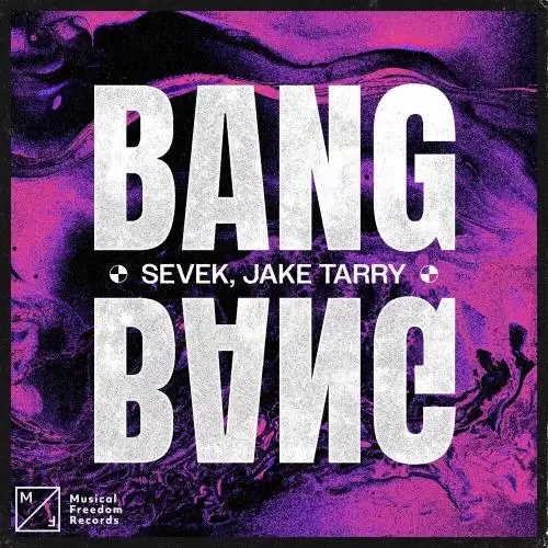 Sevek feat. Jake Tarry - Bang Bang
