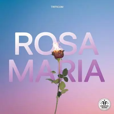 TRITICUM - ROSA MARIA