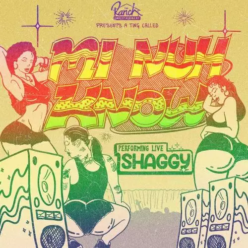 Shaggy - Mi Nuh Know (Radio Edit)