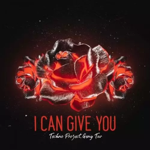 Techno Project & Geny Tur - I Can Give You