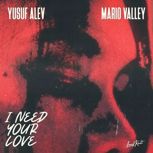 Yusuf Alev & Mario Valley - I Need Your Love