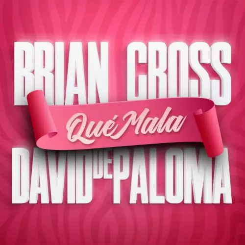 Brian Cross feat. David De Paloma - Que Mala
