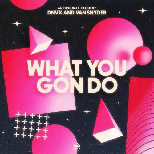 Dnvx & Van Snyder - What You Gon Do
