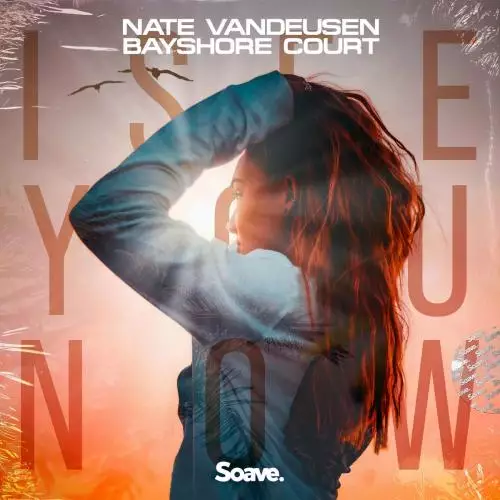 Nate VanDeusen feat. Bayshore Court - I See You Now