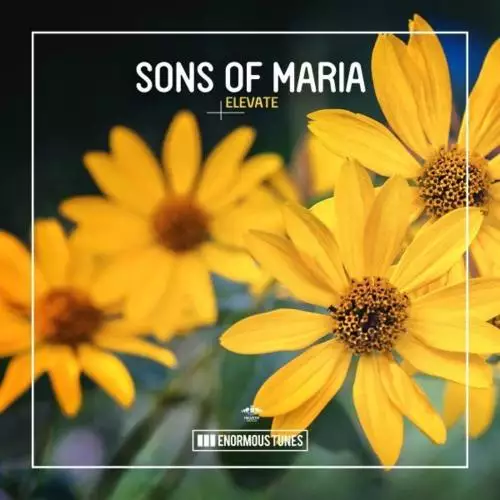 Sons Of Maria - Elevate