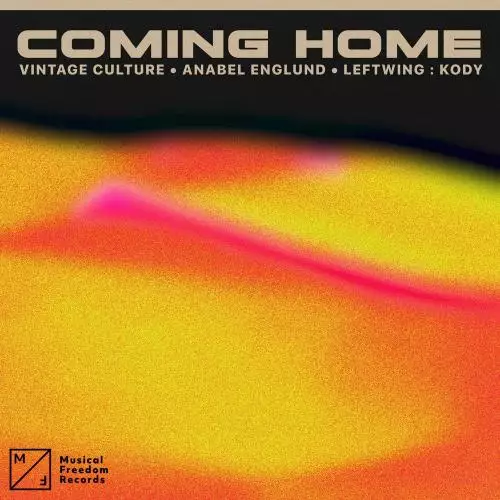 Vintage Culture & Leftwing Kody feat. Anabel Englund - Coming Home