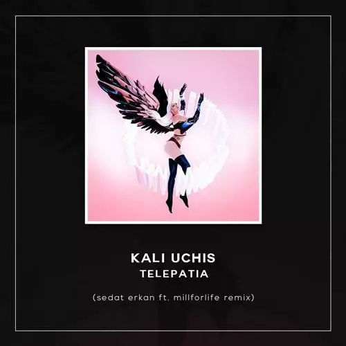 Kali Uchis - Telepatía (Sedat Erkan & Millforlife Remix)