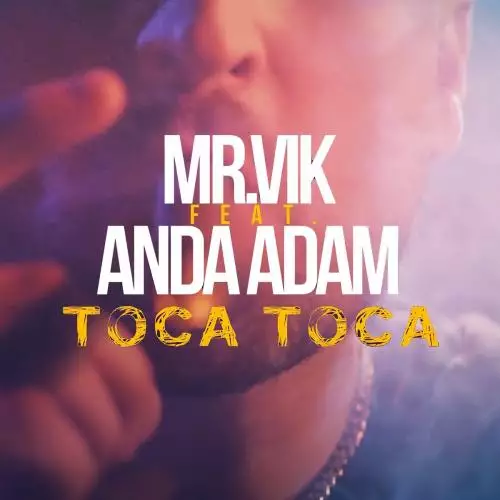 Mr. Vik feat. Anda Adam - Toca Toca